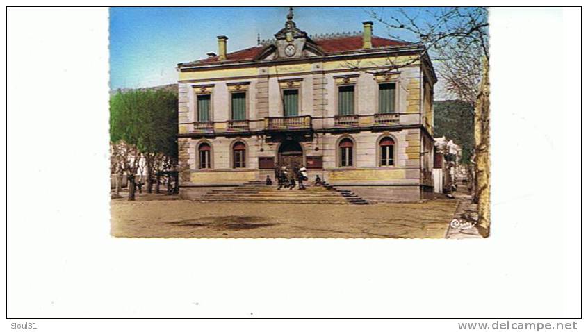 TIZI OUZOU L HOTEL DE VILLE  CPSM  TBE