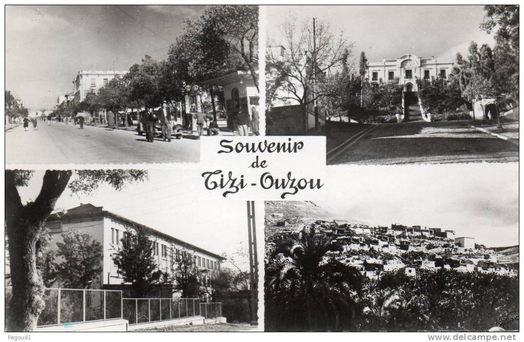 CARTE POSTALE. ALGERIE.  TIZI - OUZOU. 1950.