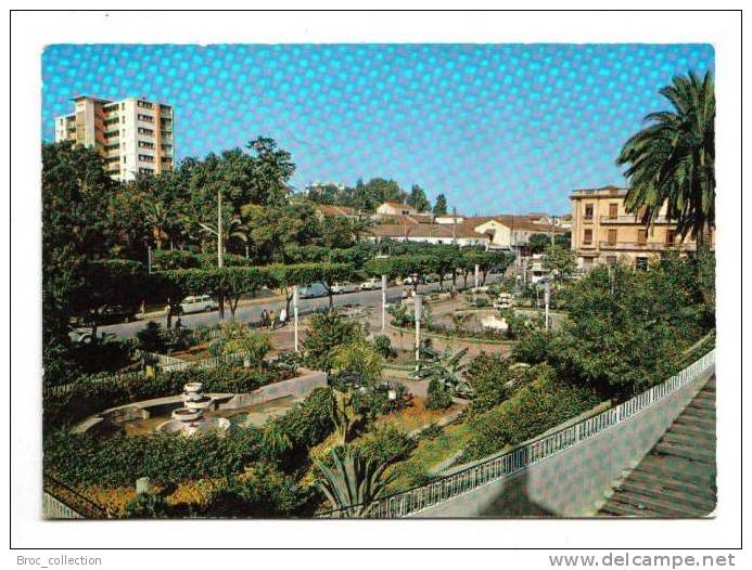 Tizi Ouzou (jardins), animée, automobiles, Socièté Nationale d'Edition et de Diffusion n° 4221