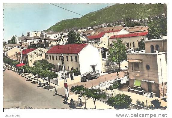 TIZI OUZOU. 80A. AVENUE F. AILHAUD.