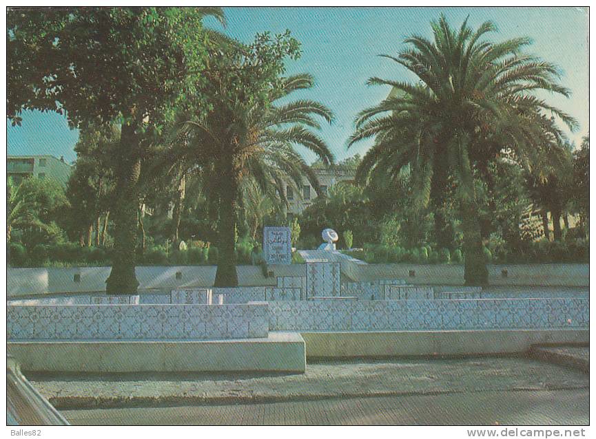 ALGERIE - TIZI-OUZOU - Square du 1er Novembre