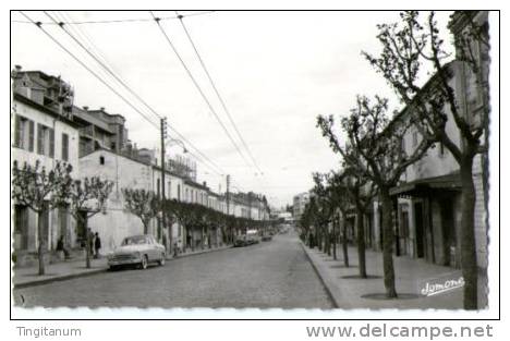 ALGER-EL-BIAR- AVENUE GEORGES CLEMENCEAU-animée Aronde, citroene....