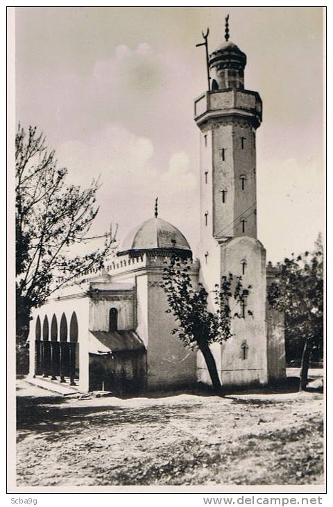 TIZI OUZOU  NOUVELLE MOSQUEE