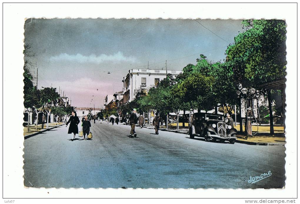 Tizi_Ouzou  avenue   ferdinand _Aillaud