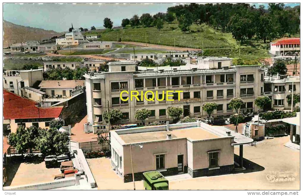 Algérie,  cpsm Tizi-Ouzou, la Gendarmerie Nationale