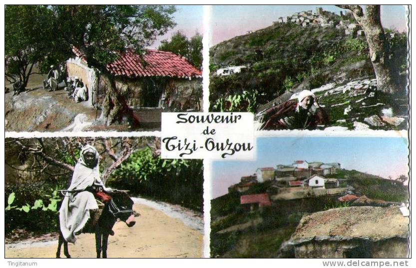 CPSM-SOUVENIR DE TIZI-OUZOU-KABYLIE