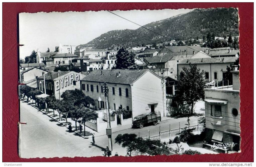 CPSM ALGÉRIE - TIZI OUZOU ( KABYLIE ) Avenue F.-AILLAUD - CAMION - Pub BYRRH - ALGERIA AFRICA AFRIQUE