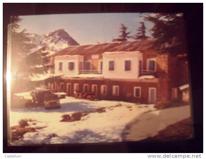 ALGERIE- TIKJDA- HOTEL DES CEDRES-1.650M