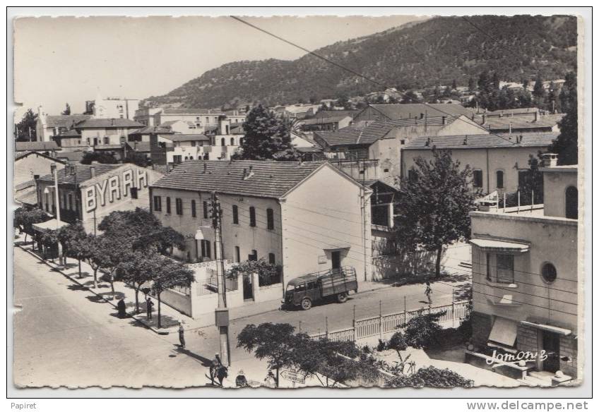 cpsm Algerie Kabylie Tizi ouzou  Avenue F. Aillaud