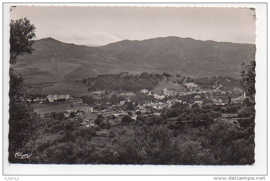 Ref 77 -  CPA Algérie Tizi Ouzou