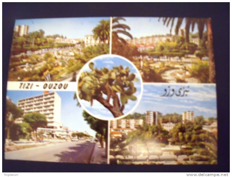 TIZI -OUZOU-MULTIVUES