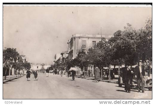 Algérie - Tizi Ouzou - Avenue Ferdinand Aillaud  Achat Immédiat