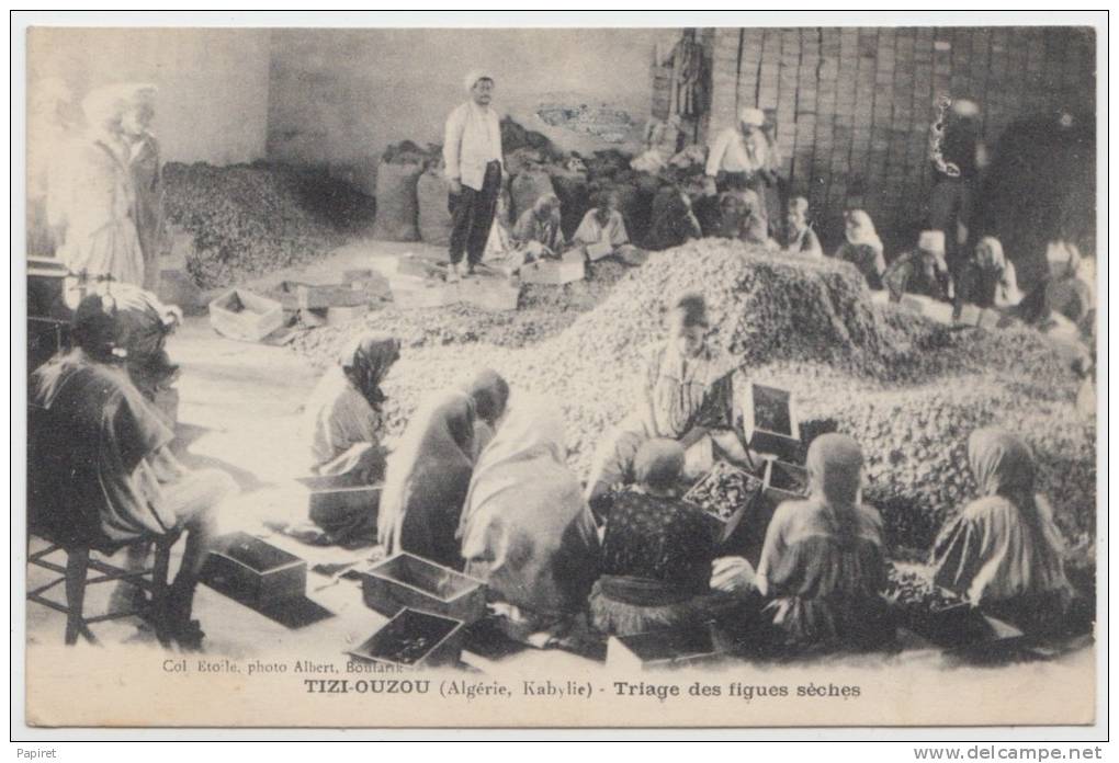cpa Algerie Kabylie Tizi Ouzou Metier Triage des figues sèches  (Top carte)