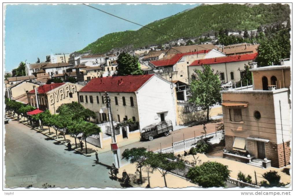 CPSM - PF - Tizi Ouzou (Alger) avenue F. Ailhaud