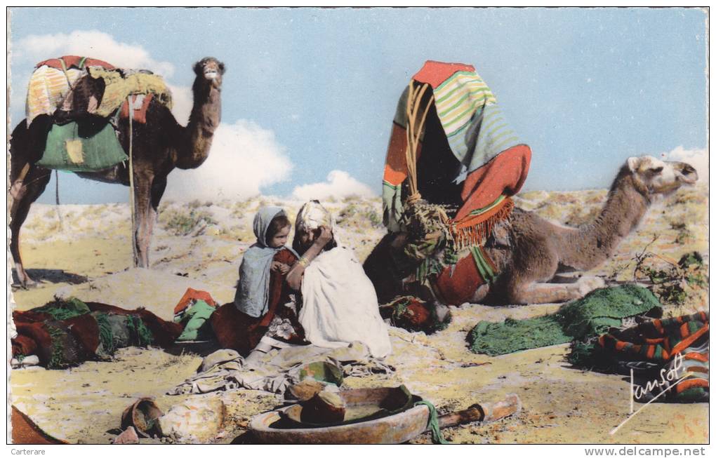 AFRIQUE,AFRICA,ALGERIE FRANCAISE,KABYLIE,AGOUNI GUEGHRANE,AGHNI GOUGHRANE,TIZI OUZOU,CAMPEMENT,NOMADES