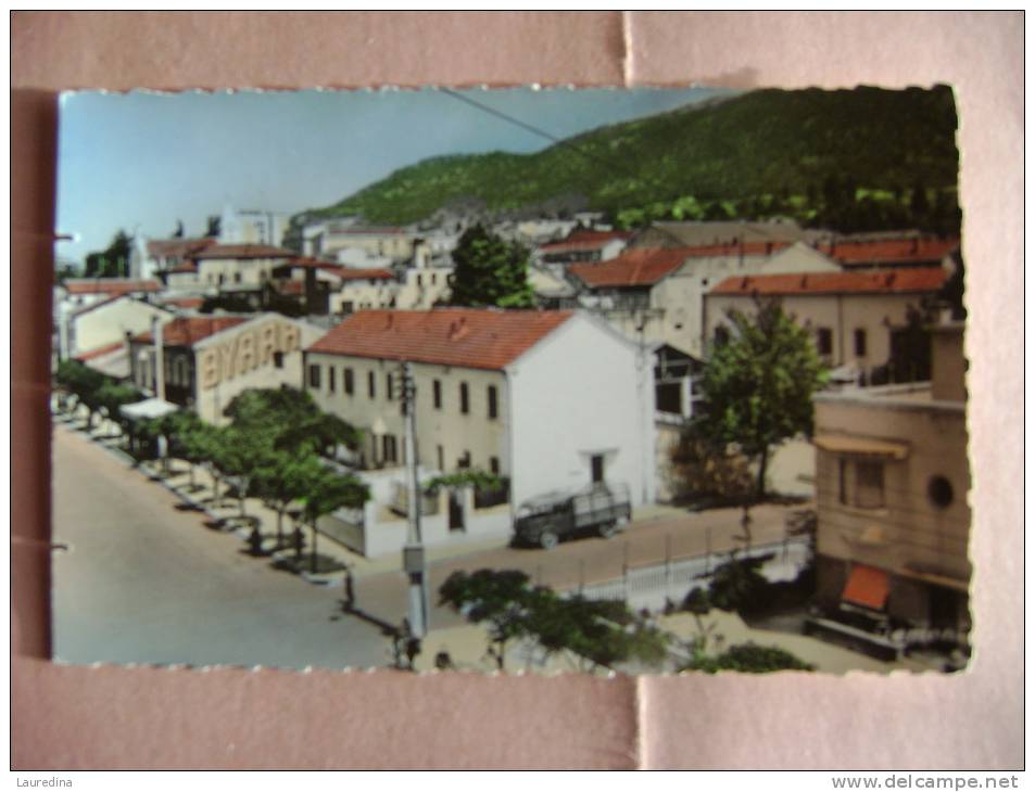 CPSM   TIZI-OUZOU N°80 AVENUE FERDINAND AILLAUD