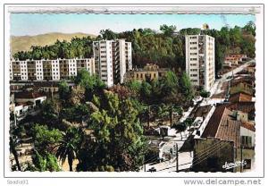 TIZI  OUZOU    LES NOUVEAUX  IMMEUBLES        CPSM  TBE    1N871