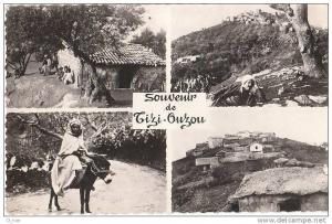 ALGERIE CPSM Souvenir de TIZI OUZOU en 4 Vues en 1956