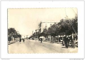cp, Algérie, Tizi-ouzou, Avenue Ferdinand Aillaud, écrite