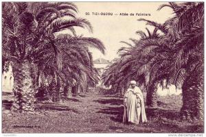 CPA AFRIQUE ALGERIE TIZI-OUZOU ALLEE DE PALMIERS ANIMEE