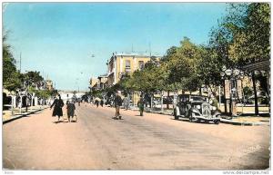 ALGERIE -  TIZI-OUZOU - AVENUE FERDINAND AILLAUD - POMPES A ESSENCE SHELL - AUTO CITROEN