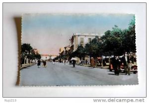 TIZI OUZOU AVENUE  FERDINAND AILLAUD N° 16