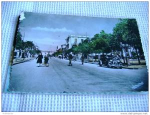 ALGERIE - 17 - TIZI-OUZOU - AVENUE FERDINAND-AILLAUD - petit manque côté gauche -CARTE PHOTO COLORISEE FORMAT CPA