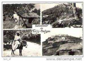 TIZI OUZOU - SOUVENIR - MULTI VUE  - CPSM  A85