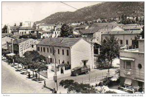 AFRIQUE. ALGERIE. TIZI OUZOU. Vue sur L'Avenue F. Aillaud. Carte Dentelée.