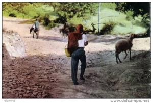 ALGERIE - KABYLIE - TIZI OUZOU - Chemin de montagne