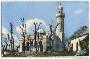 Algérie Tizi Ouzou La Nouvelle Mosquée Cpsm