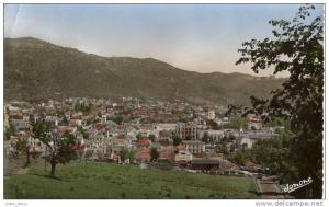 Tizi Ouzou .  Vue générale , vue du Bordj .   CPSM