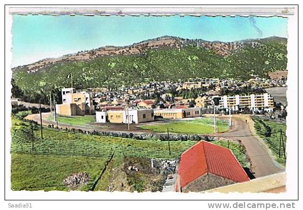 TIZI  OUZOU    VUE  GENERALE        CPSM  TBE    1N869