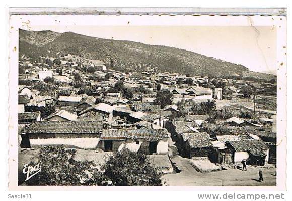 TIZI  OUZOU    LE   VILLAGE        CPSM  TBE    1N868
