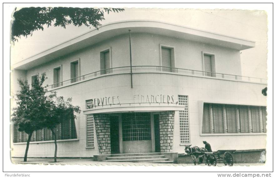 KHENCHELA  (Algérie ) - CPSM - Hôtel des finances ... services financiers, âne, charette