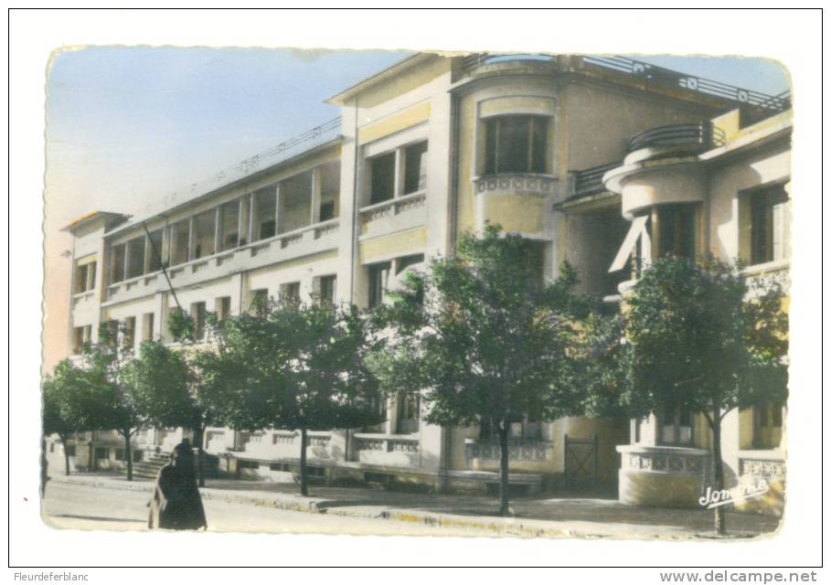 TIZI OUZOU  (Algérie ) - CPSM - La gendarmerie