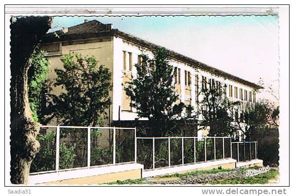 TIZI  OUZOU  LE  COLLEGE  MODERNE    CPSM   TBE  1N342