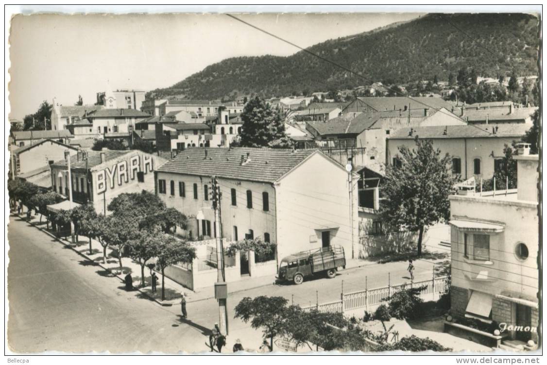 Algérie Tizi Ouzou Avenue F. Aillaud Cpsm