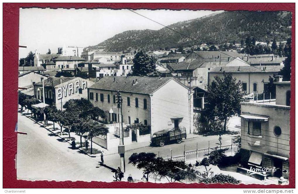 CPSM ALGERIE- TIZI OUZOU - Avenue F.AILLAUD, Camion - Jomone # 80