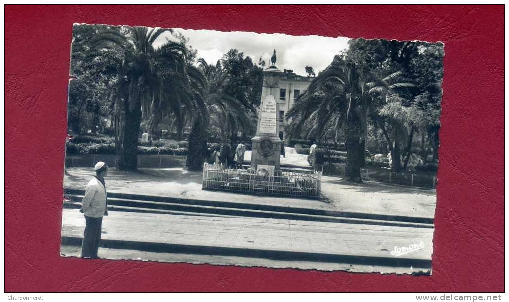 CPSM ALGERIE- TIZI OUZOU - Monuments aux Morts - AUX ENFANTS DE TIZI OUZOU MORTS POUR LA FRANCE  - Jomone #66