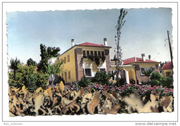 Tizi-Ouzou, (Kabylie), le Dar-El-Askri, Jomone n° 72, colorisée, dentelée