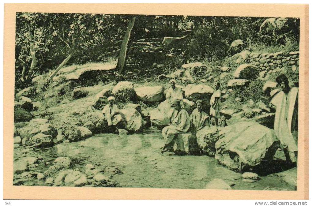 ALGERIE - Sortie de la source du Mechtras (Tizi OuzouTala-Ouguellid daïra Boghni Beni Bouaddou  animation )*PRIX FIXE