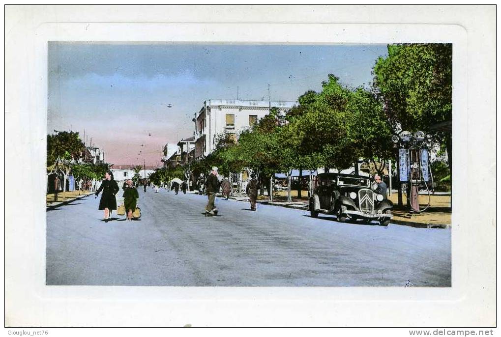 TIZI-OUZOU...AVENUE FERDINAND AYMAUD...CPSM GRAND FORMAT ANIMEE