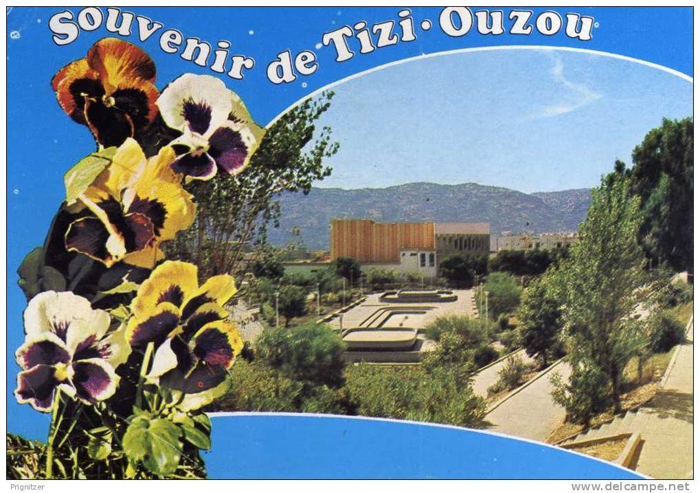 ALGERIE / ALGERIEN    TIZI - OUZOU