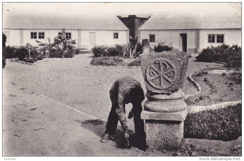 AFRIQUE,AFRICA,Algérie,TI GZIRT,daira,TIZI OUZOU,ville cotière de KABYLIE,jardin militaire,jardinier,métie r,rare