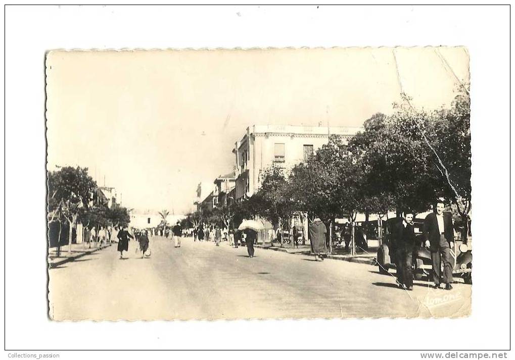 cp, Algérie, Tizi-ouzou, Avenue Ferdinand Aillaud, écrite