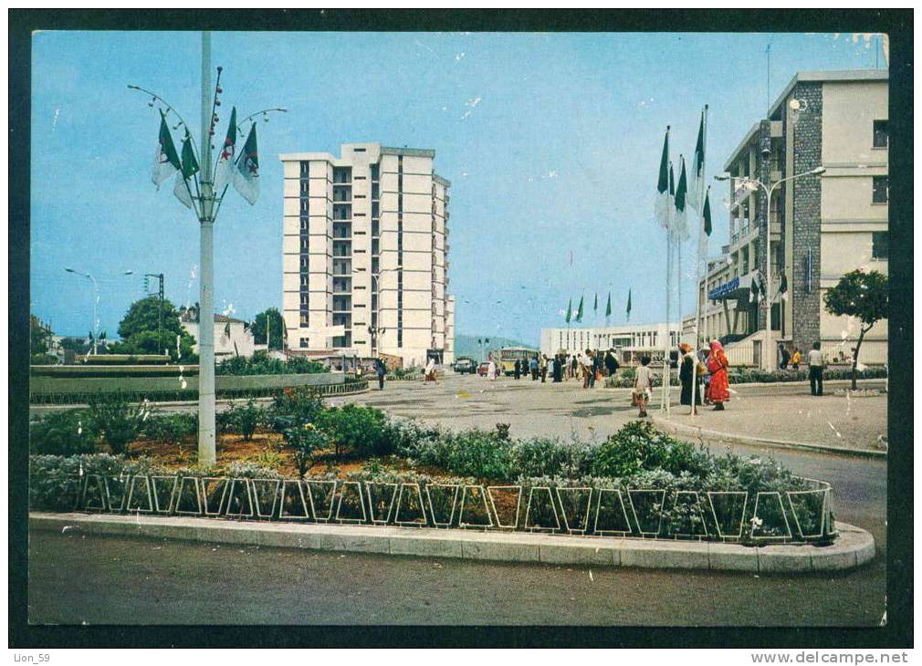 TIZI OUZOU - CENTRE VILLE - Algerie  Algeria Algerien 60056