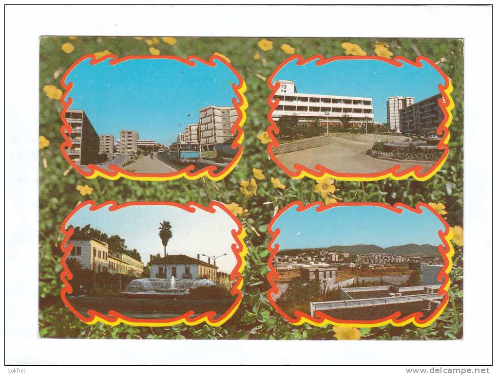 Tizi-Ouzou          Souvenir        Multivues