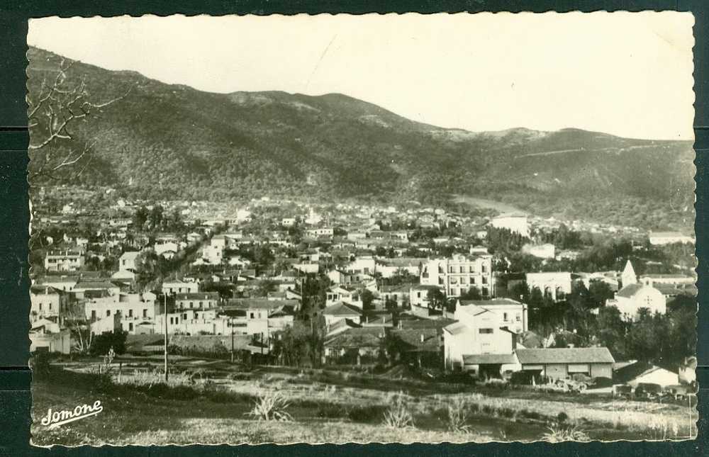 Tizi Ouzou - vue générale dt05