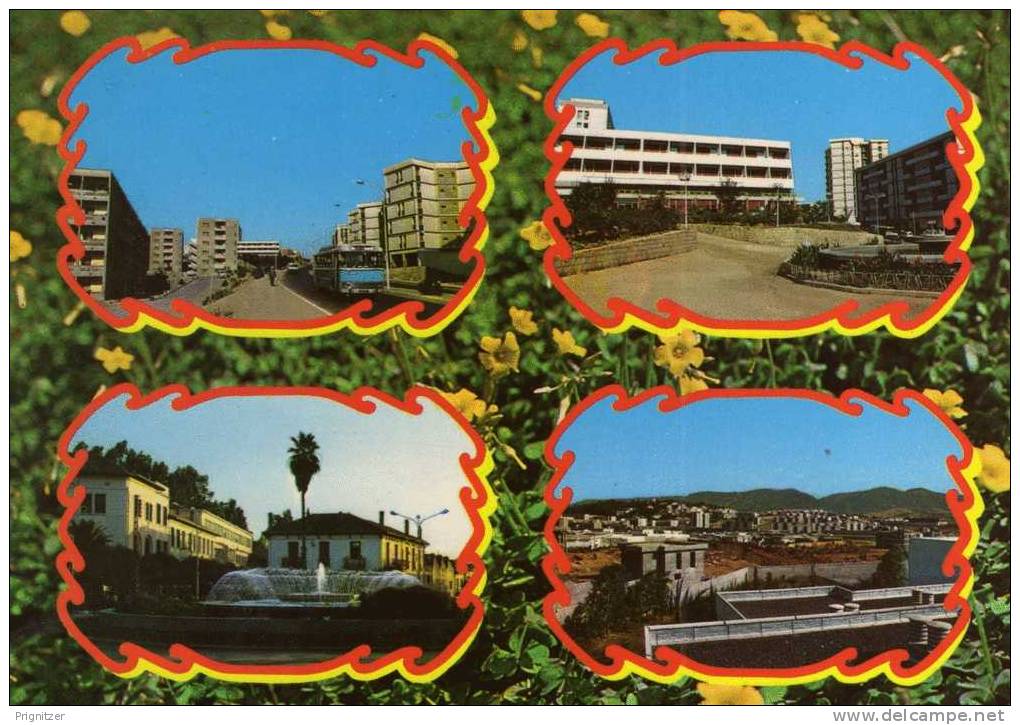 ALGERIE / ALGERIEN    TIZI - OUZOU    Souvenir fe Tizi Ouzou